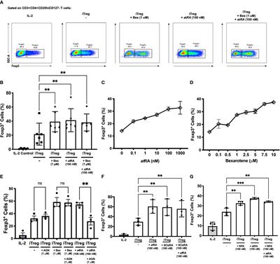 The MS Remyelinating Drug Bexarotene (an RXR Agonist) Promotes Induction of Human Tregs and Suppresses Th17 Differentiation In Vitro